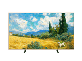 TCL 55 Inch A400 Pro QD Mini LED 4K Google TV Front View