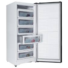 Dawlance 1035WB Glass Door Inverter Cloud White Vertical Freezer