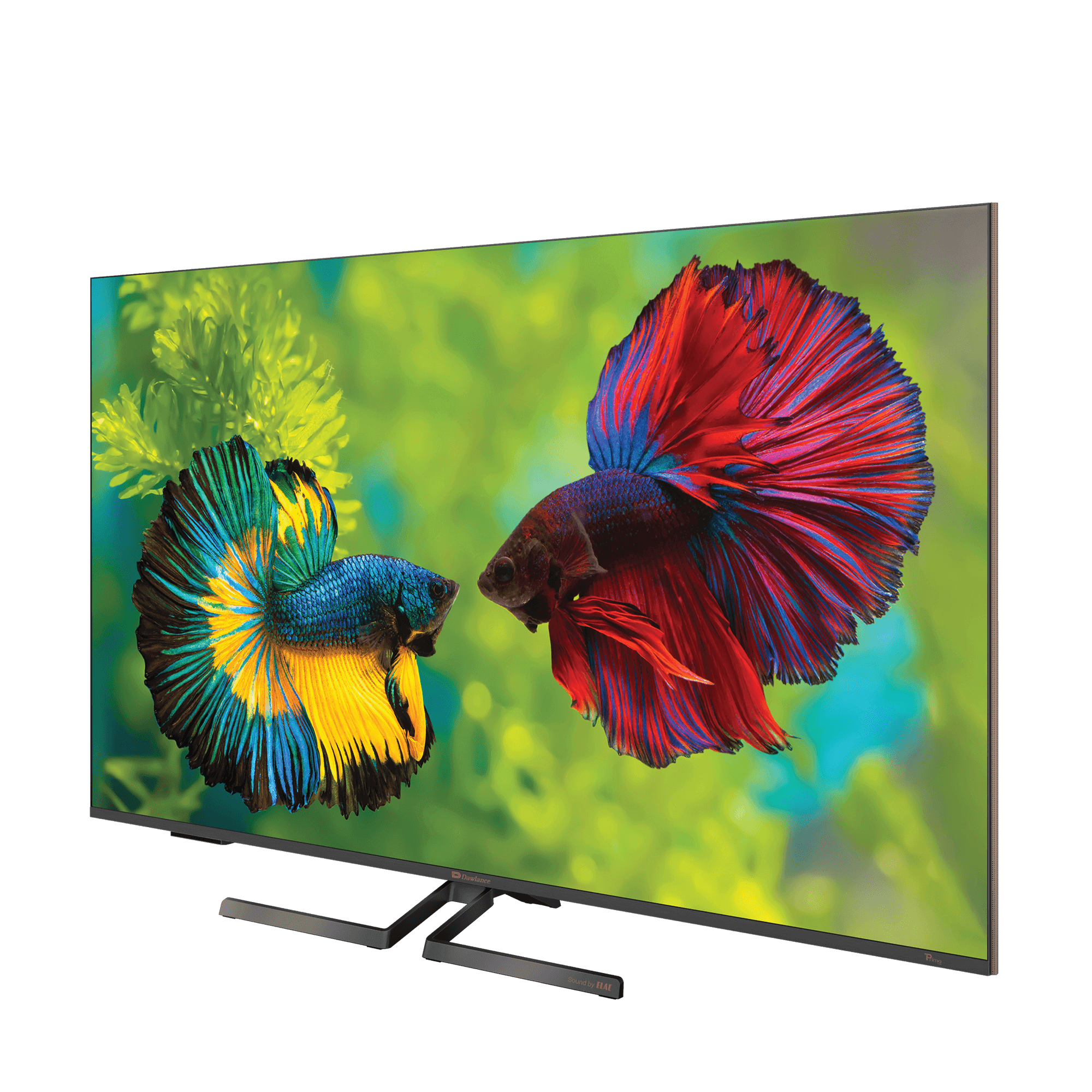 Dawlance Delta SE LED 
Dawlance 55 QLED TV
Dawlance QLED TV PRICE IN PAKISTAN