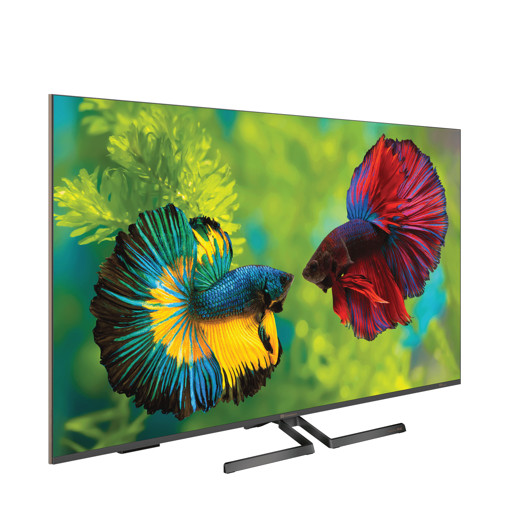Dawlance Delta SE LED 
Dawlance 55 QLED TV
Dawlance QLED TV PRICE IN PAKISTAN