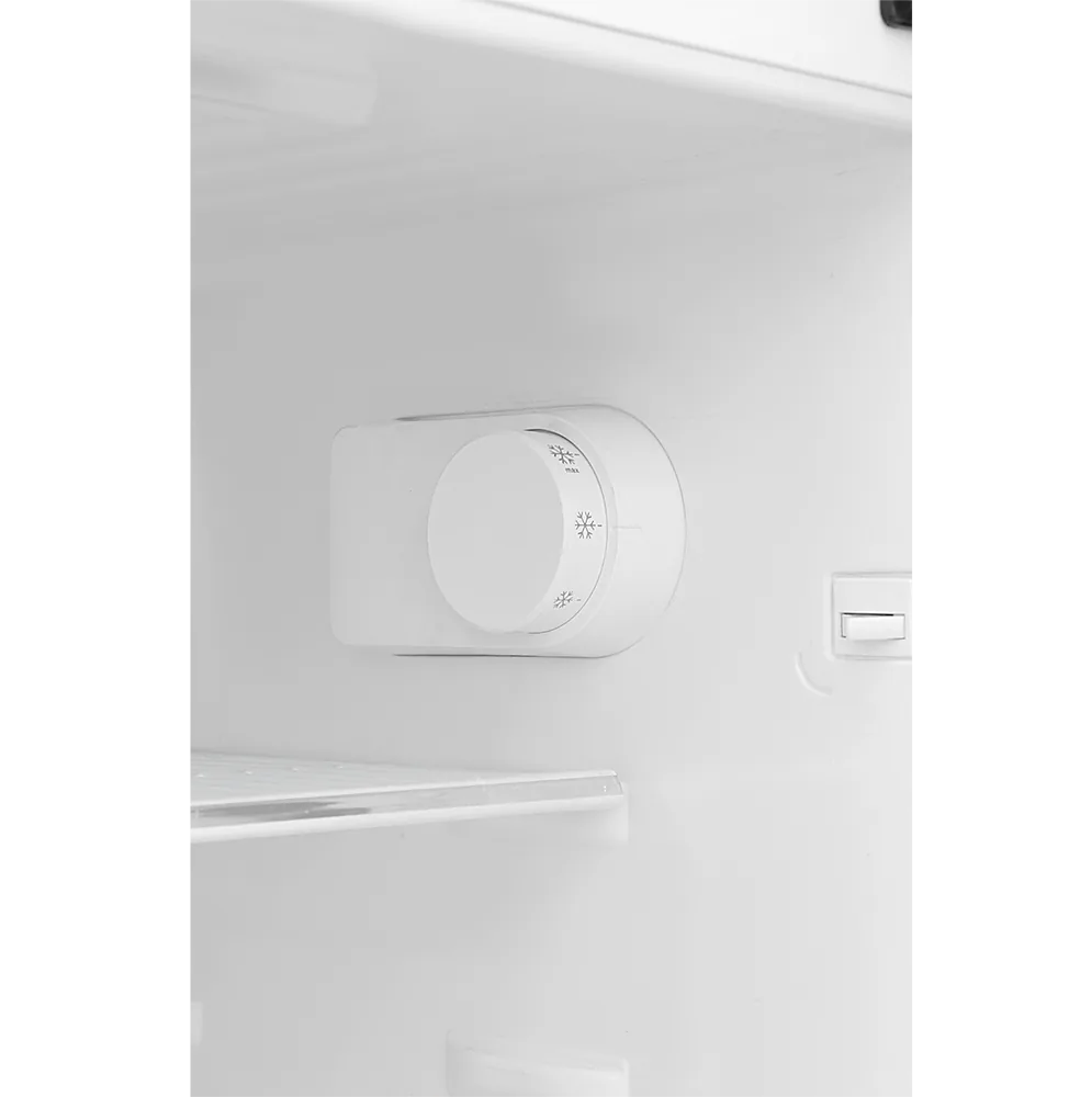 Dawlance 9191 WB Acce Pro Meadow Green Refrigerator feature view