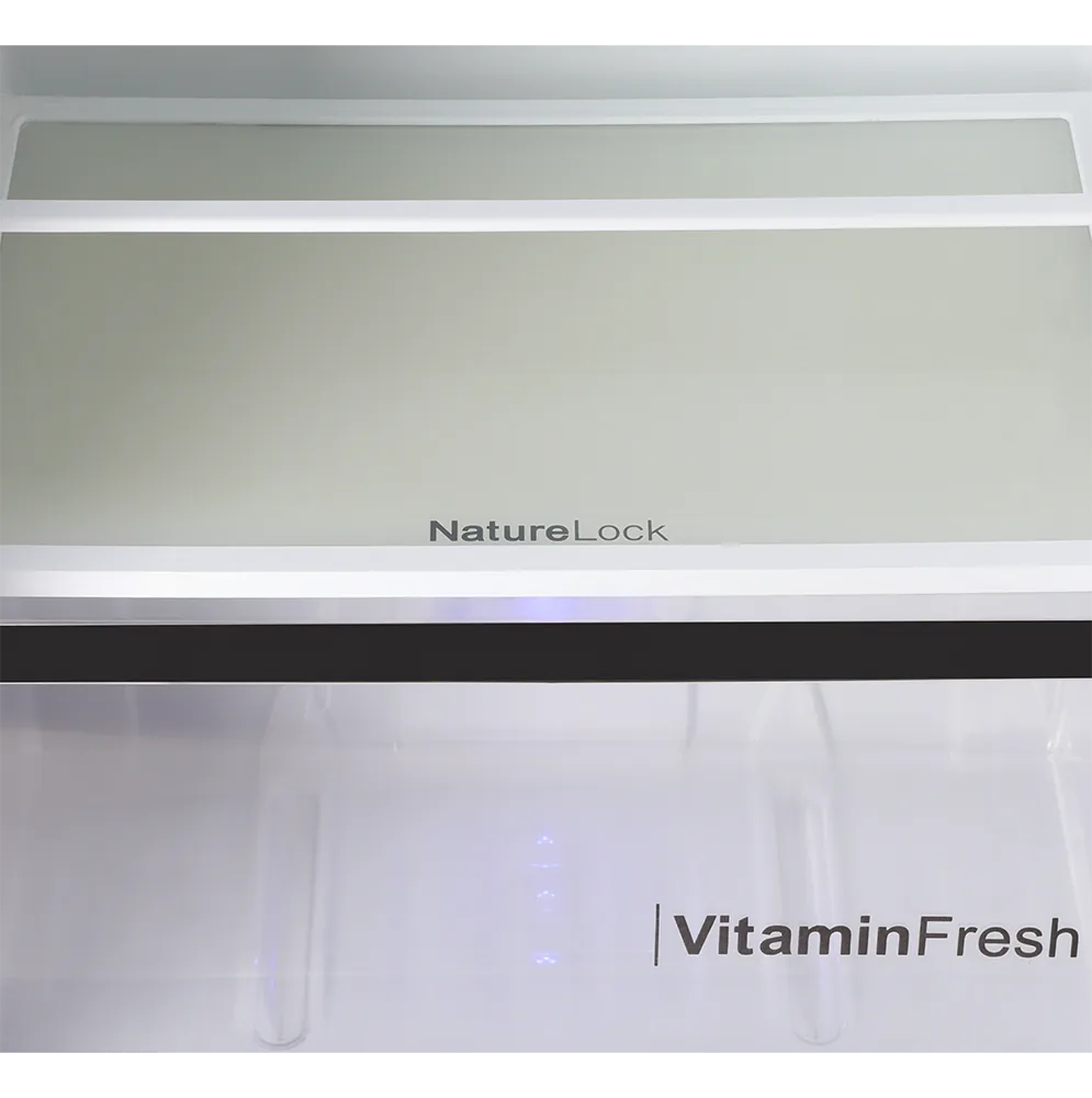 Dawlance 9191 WB Avante+ Platinum Silver Refrigerator feature view