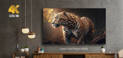 EcoStar 43" CX-43Q873 Full HD QLED Google TV lifestyle view