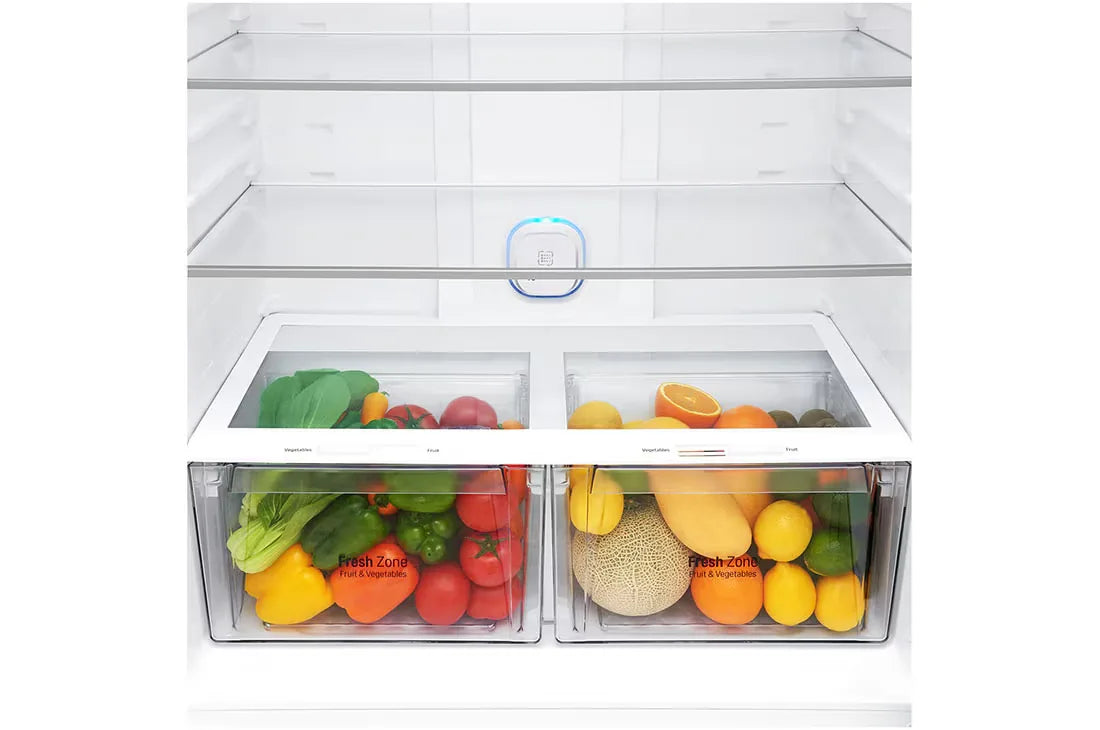 LG GR-H842HLHM 592L Top Mount Refrigerator – Platinum Silver detail view