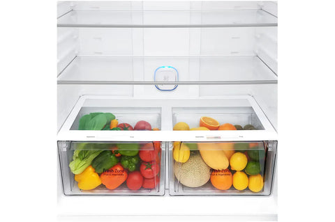LG GR-H842HLHM 592L Top Mount Refrigerator – Platinum Silver detail view