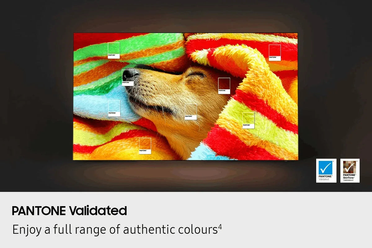Samsung 55 S85F OLED 4K view 8