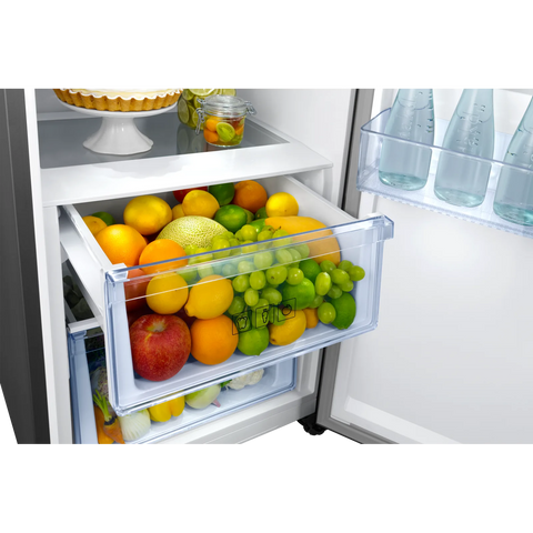 Samsung RR39M73107F/SG 375L 1-Door No Frost Refrigerator – Refined Steel detail view