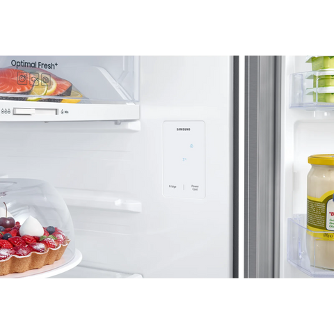 Samsung RT35CG5404S9AE 345L Top Mount Refrigerator – Silver feature view