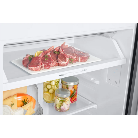 Samsung RT42CG6420S9RT 411L Top Mount Refrigerator – Silver close up